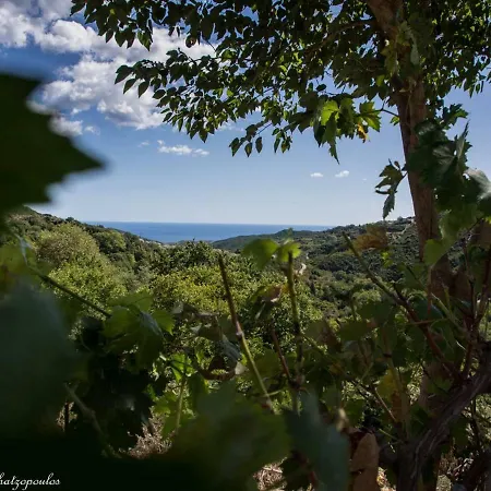 Villa Mansion Philoktitis Melivoia